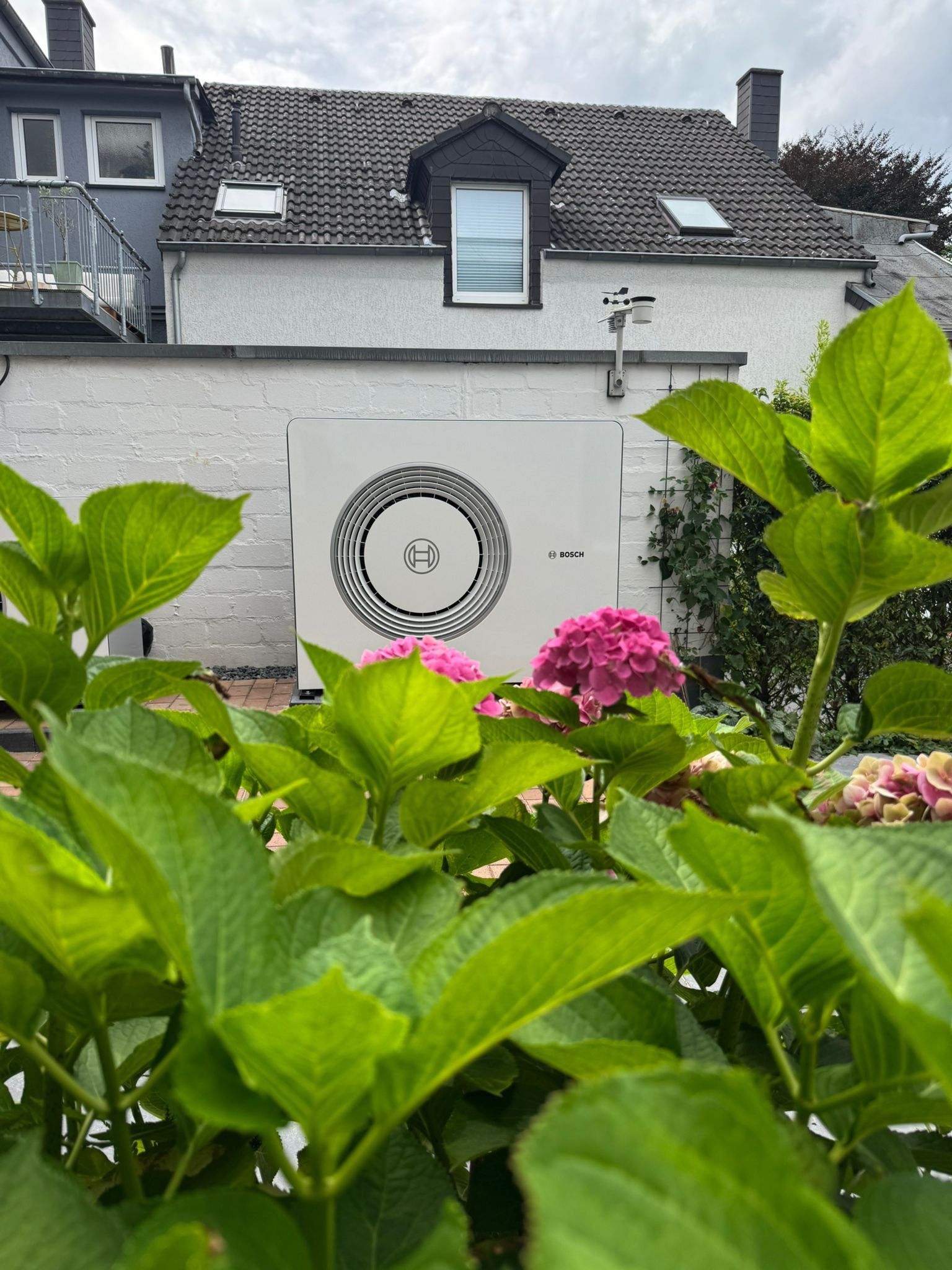 Bosch Wärmepumpen Außeneinheit im Garten, teilweise verdeckt von grünen Blättern und Hortensien.